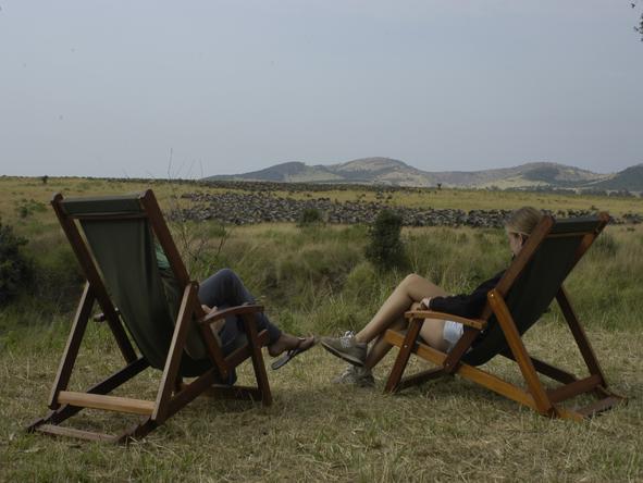 Salas Camp - witness the migration